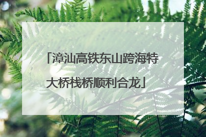 漳汕高铁东山跨海特大桥栈桥顺利合龙