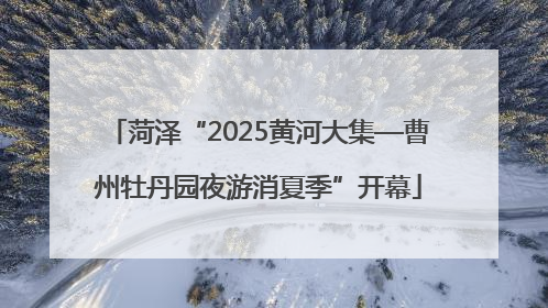 菏泽“2025黄河大集—曹州牡丹园夜游消夏季”开幕