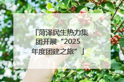 菏泽民生热力集团开展“2025年度团建之旅”