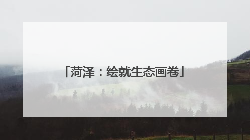 菏泽：绘就生态画卷