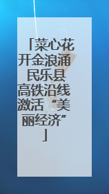 菜心花开金浪涌 民乐县高铁沿线激活“美丽经济”