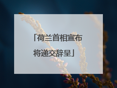 荷兰首相宣布将递交辞呈