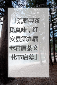 荒野寻茶觅真味，红安县第九届老君眉茶文化节启幕