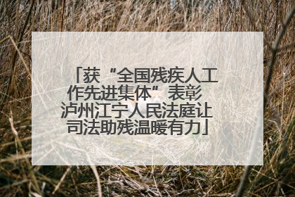 获“全国残疾人工作先进集体”表彰 泸州江宁人民法庭让司法助残温暖有力