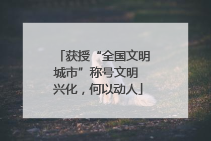 获授“全国文明城市”称号文明 兴化，何以动人