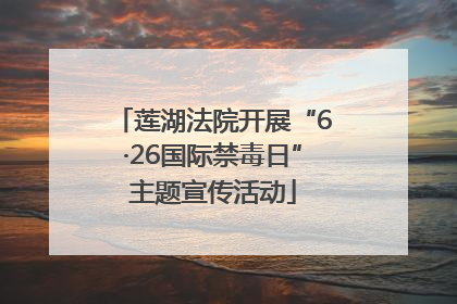 莲湖法院开展“6·26国际禁毒日”主题宣传活动