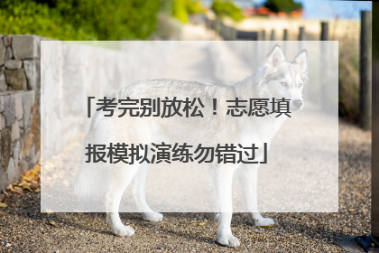考完别放松！志愿填报模拟演练勿错过