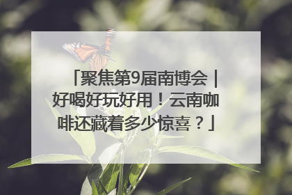 聚焦第9届南博会｜好喝好玩好用！云南咖啡还藏着多少惊喜？