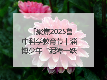 聚焦2025鲁中科学教育节｜淄博少年“泥潭一跃”：六一节里的勇气勋章