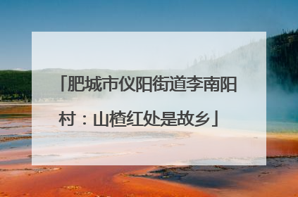 肥城市仪阳街道李南阳村：山楂红处是故乡