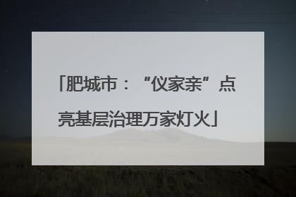 肥城市：“仪家亲”点亮基层治理万家灯火