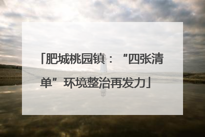 肥城桃园镇：“四张清单”环境整治再发力