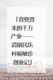 背兜背来的千万产业——清镇民乐村杨敏珍创业记