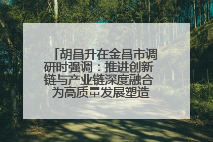 胡昌升在金昌市调研时强调：推进创新链与产业链深度融合 为高质量发展塑造新动能新优势