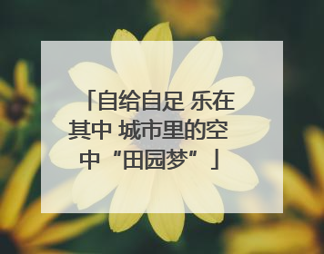 自给自足 乐在其中 城市里的空中“田园梦”