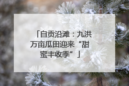 自贡沿滩：九洪万亩瓜田迎来“甜蜜丰收季”