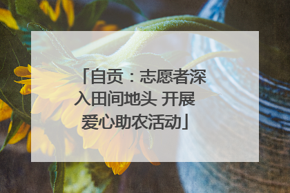 自贡：志愿者深入田间地头 开展爱心助农活动