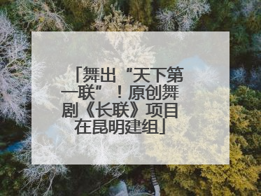 舞出“天下第一联”！原创舞剧《长联》项目在昆明建组