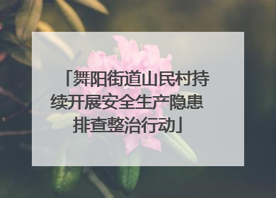 舞阳街道山民村持续开展安全生产隐患排查整治行动