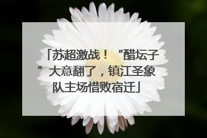苏超激战！“醋坛子”大意翻了，镇江圣象队主场惜败宿迁