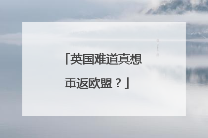 英国难道真想重返欧盟？