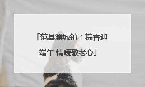 范县濮城镇：粽香迎端午 情暖敬老心