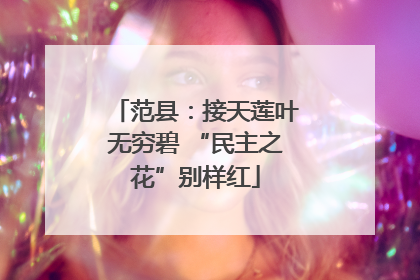 范县：接天莲叶无穷碧 “民主之花”别样红