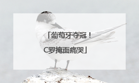 葡萄牙夺冠！C罗掩面痛哭
