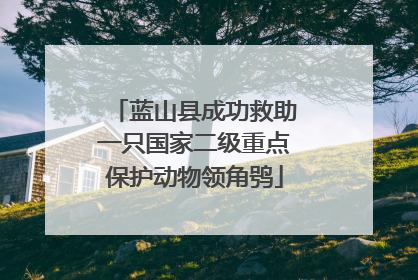 蓝山县成功救助一只国家二级重点保护动物领角鸮
