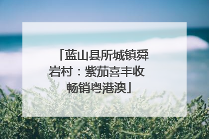 蓝山县所城镇舜岩村：紫茄喜丰收 畅销粤港澳