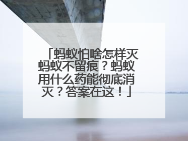 蚂蚁怕啥怎样灭蚂蚁不留痕？蚂蚁用什么药能彻底消灭？答案在这！
