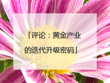 评论：黄金产业的迭代升级密码