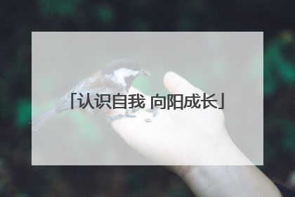 认识自我 向阳成长