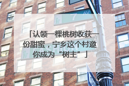认领一棵桃树收获一份甜蜜，宁乡这个村邀你成为“树主”