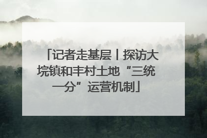 记者走基层丨探访大垸镇和丰村土地“三统一分”运营机制