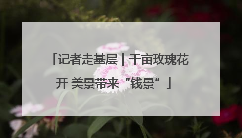 记者走基层｜千亩玫瑰花开 美景带来“钱景”