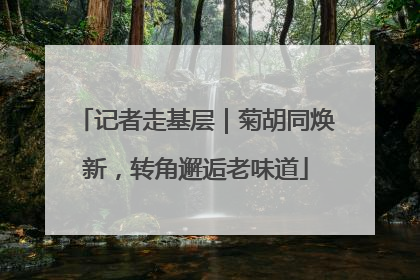 记者走基层｜菊胡同焕新，转角邂逅老味道