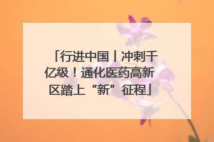 行进中国丨冲刺千亿级！通化医药高新区踏上“新”征程