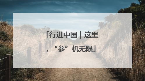 行进中国｜这里，“参”机无限