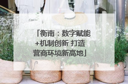 衡南：数字赋能+机制创新 打造营商环境新高地