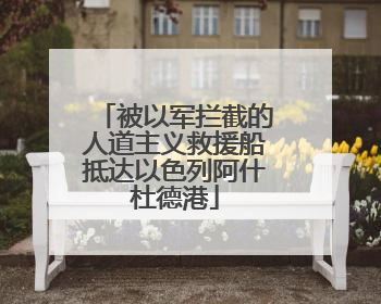被以军拦截的人道主义救援船抵达以色列阿什杜德港