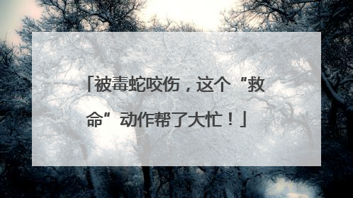 被毒蛇咬伤，这个“救命”动作帮了大忙！