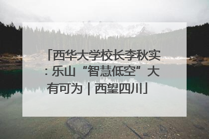 西华大学校长李秋实：乐山“智慧低空”大有可为｜西望四川
