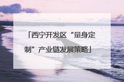 西宁开发区“量身定制”产业链发展策略