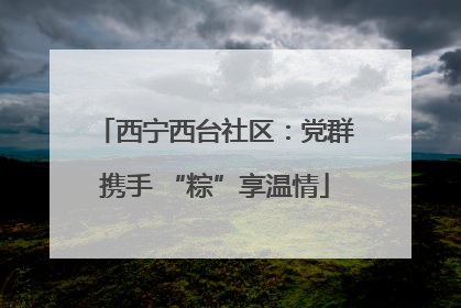西宁西台社区：党群携手 “粽”享温情