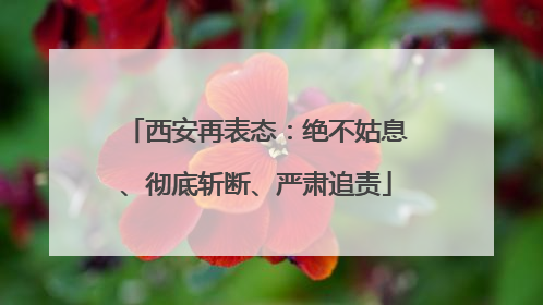 西安再表态：绝不姑息、彻底斩断、严肃追责