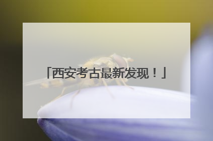 西安考古最新发现！