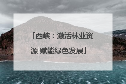 西峡：激活林业资源 赋能绿色发展