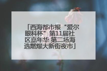 西海都市报“爱尔眼科杯”第11届社区嘉年华 第二场海选燃爆大新街夜市