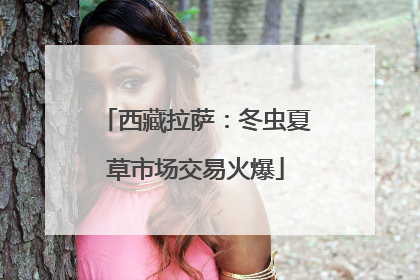 西藏拉萨：冬虫夏草市场交易火爆